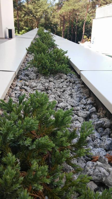 Holiday Home Loft Z Antresola I Balkonem Przy Plazy Miedzyzdroje Ngoại thất bức ảnh